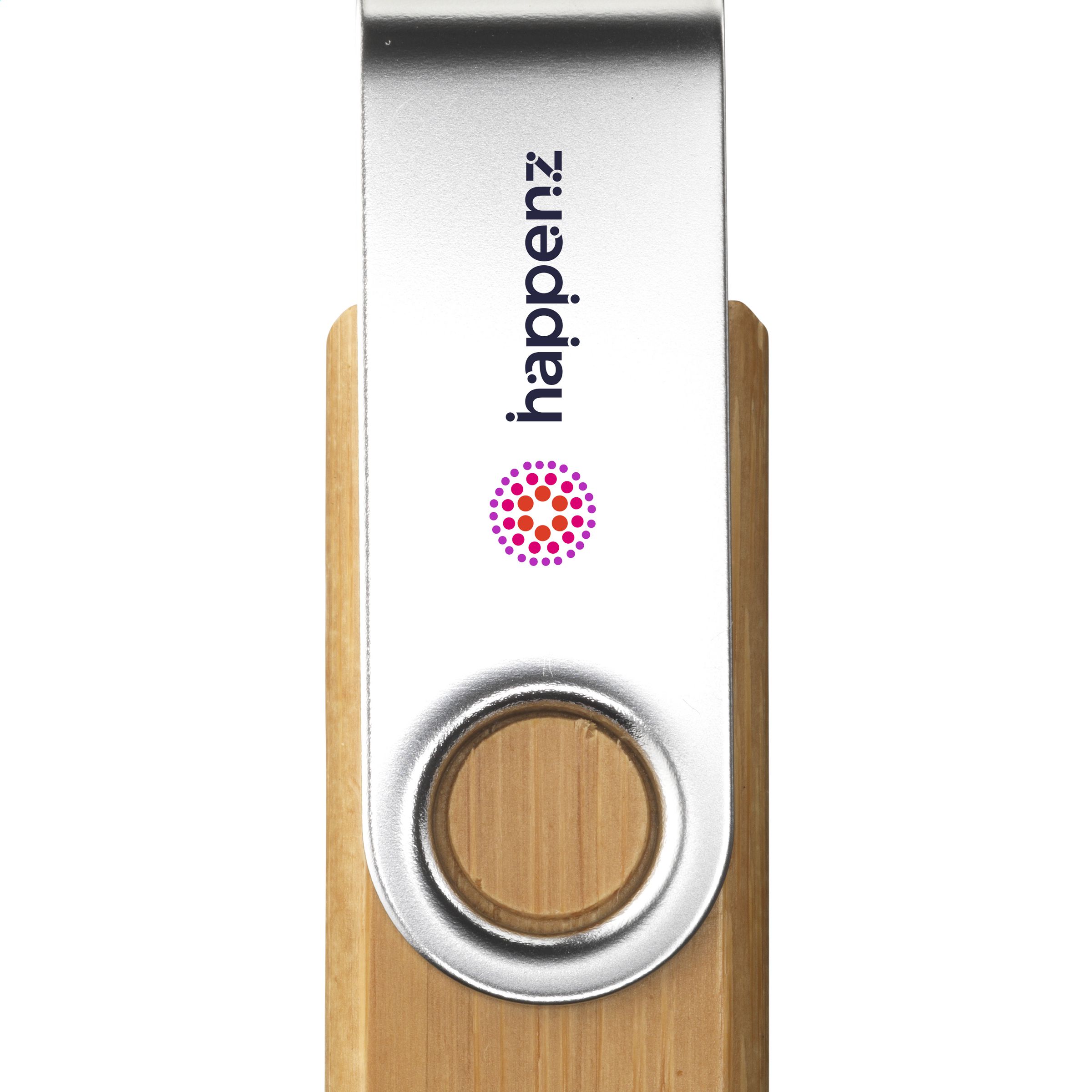 EcoCarbon USB 2.0 - Alberschwende