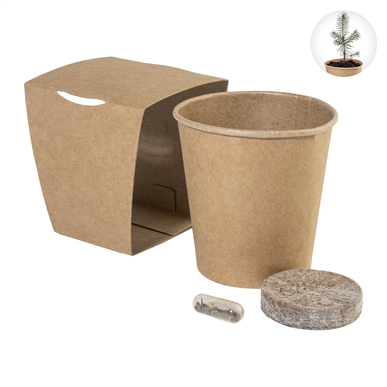 MerryGrow Anzuchtset für Weihnachtsbäume in Kraftpapierhülle, Logo bedrucken mit Logo