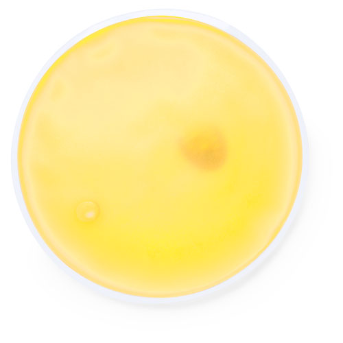 WärmePuls - Langenfeld