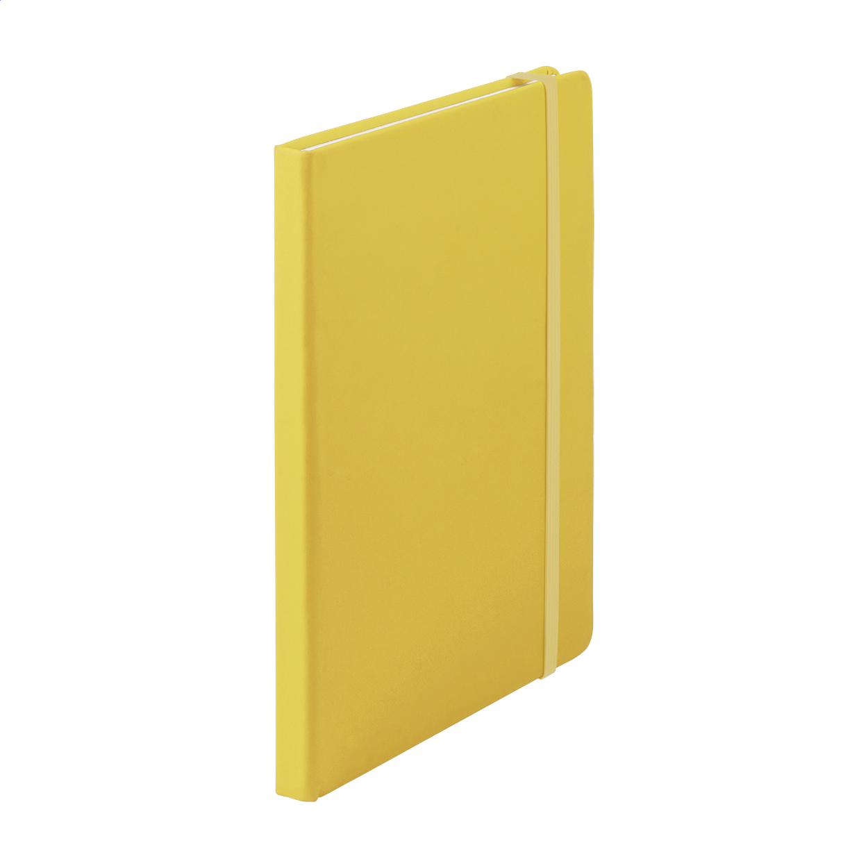 Elegante Notizbuch - Rheinsberg
