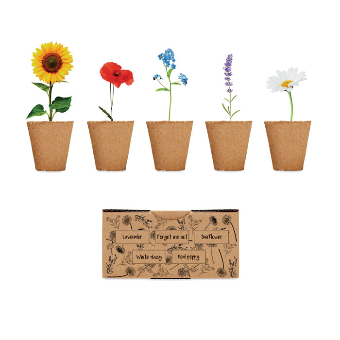 Personalisiertes Saat-Set Sommerblumen - Blomst
