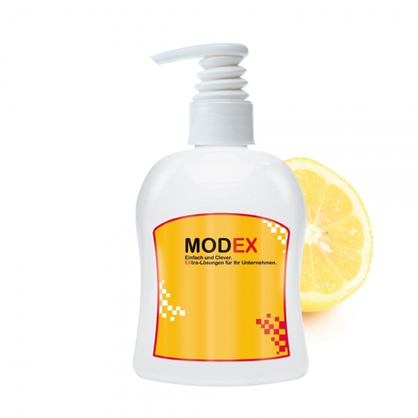 Handreinigungsgel Antibakteriell 300 ml Spender - Luckenwalde