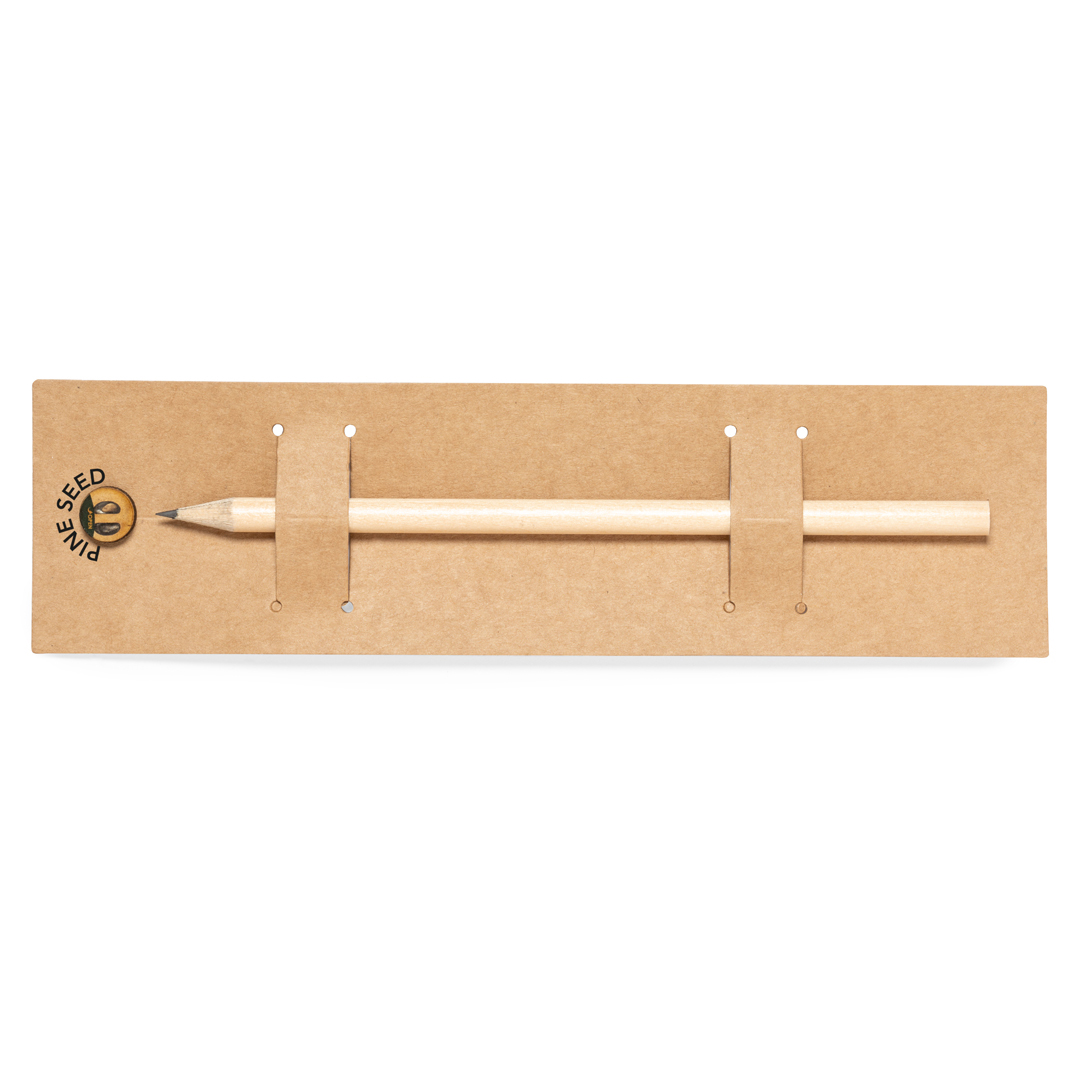 Samen Bleistift Etesio - Wesselburen