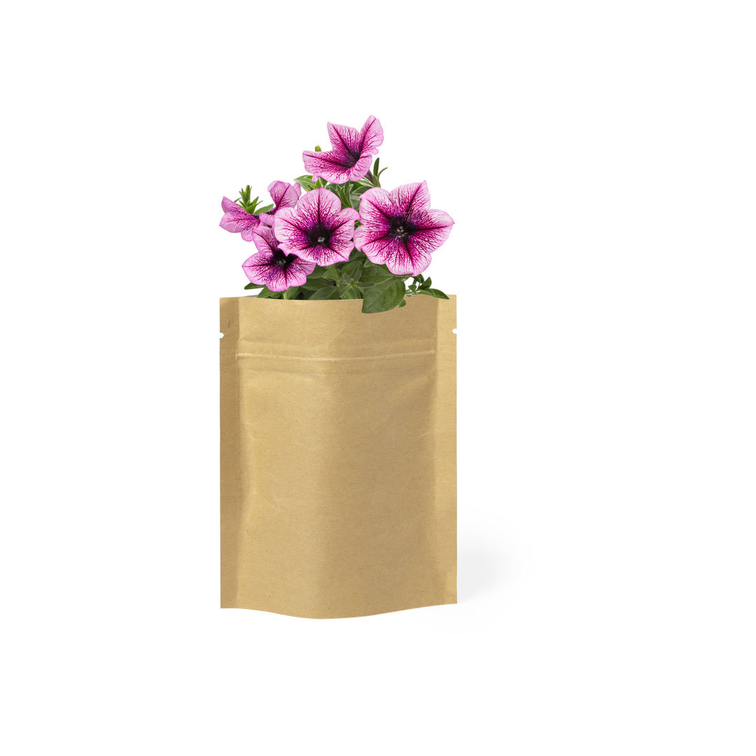 Blumentopf aus Papier mit Petunien-Samen - Waltrop
