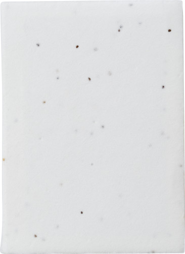 EcoSeed Haftnotizen - Schulgasse