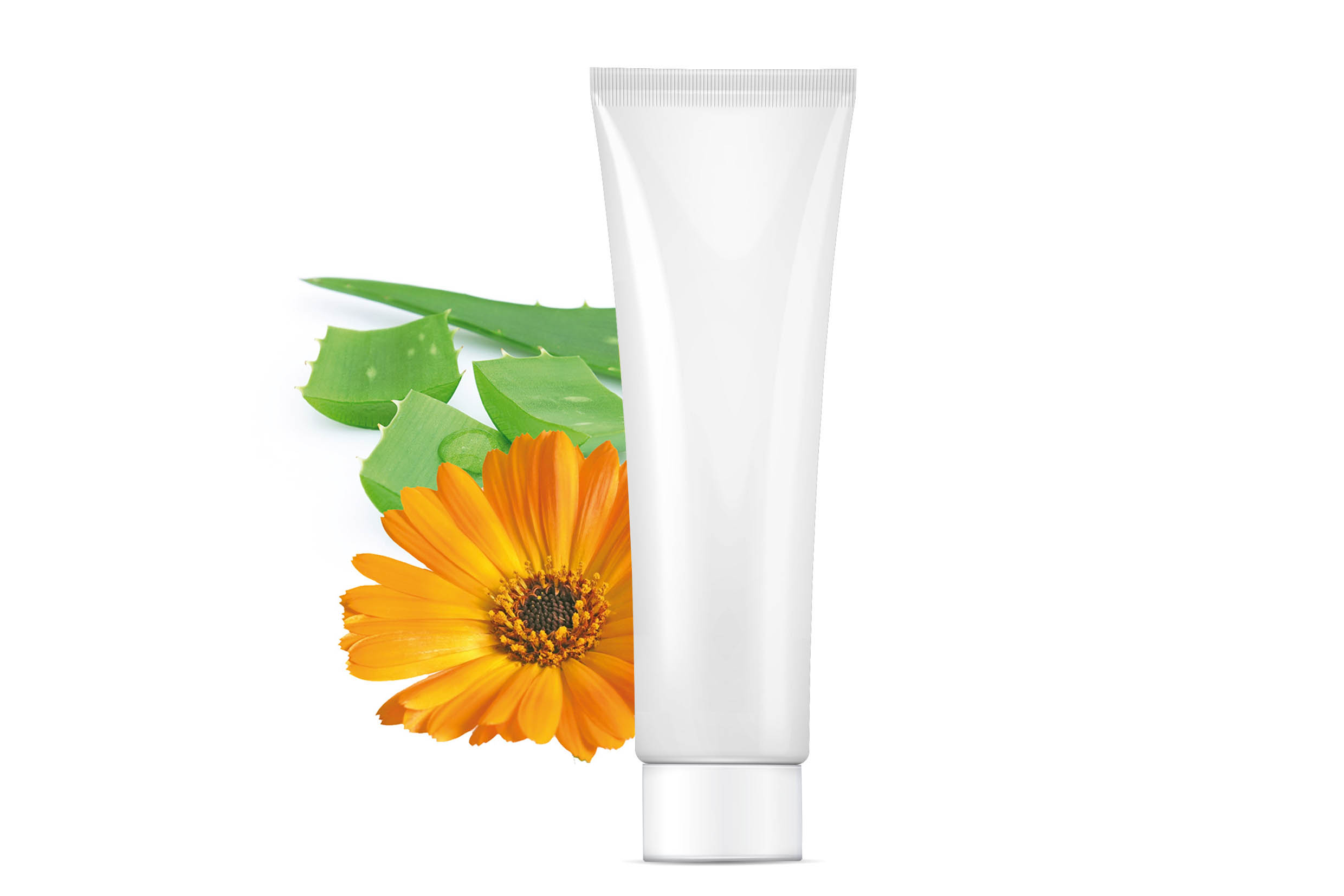 Natürlicher entzündungshemmender Calendula- und Aloe Vera-Feuchtigkeitsbalsam - Sachsenheim